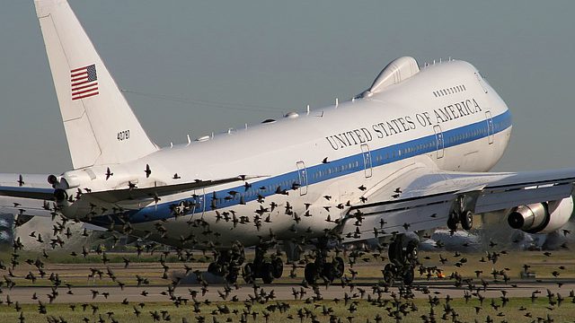 Photo of Avian Radar, A  Solution to Bird Strikes?