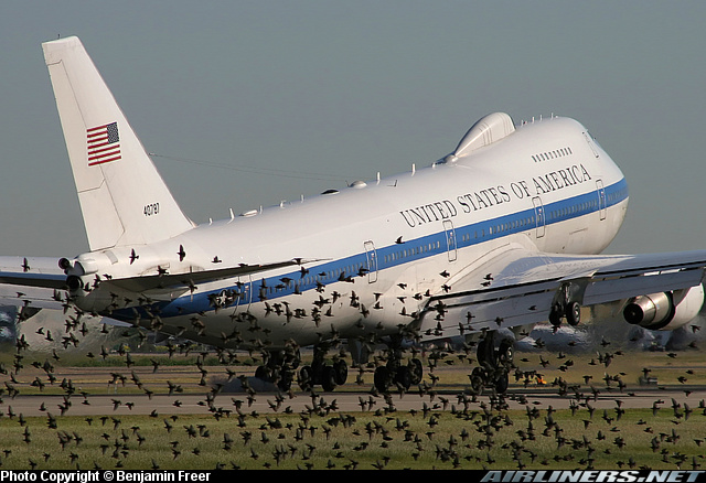 Photo of Avian Radar, A  Solution to Bird Strikes?