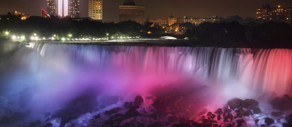 Photo of Accipiter Sponsor of Bird Strike North America 2011