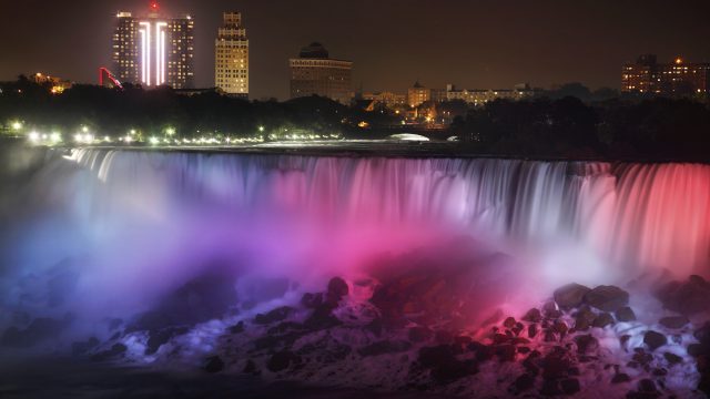 Photo of Accipiter Sponsor of Bird Strike North America 2011